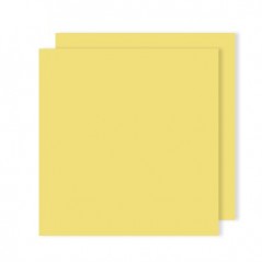 Cartolina 240gr 25Folhas 50x65cm Canson Iris Amarelo Limao /