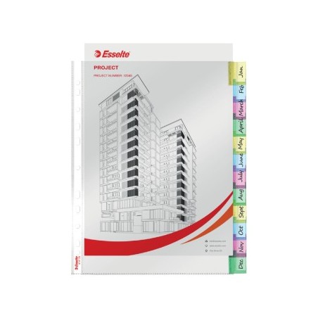 Bolsas Com 12 Separadores