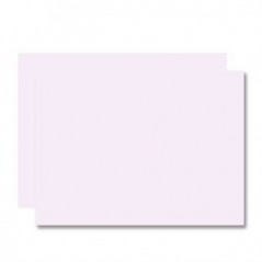 25un Cartolina 250gr 1 folha 50x70cm Branco Matte verso Cinz