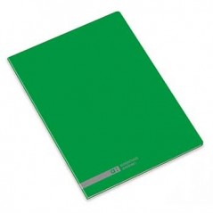 Caderno Agrafado Ambar School A4 Quadri 70gr 48Fls Verde