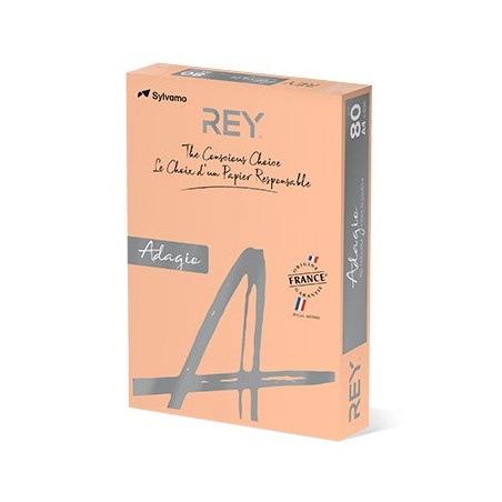 Papel Fotocopia Adagio(cd08) A4 80gr Salmao 1x500Fls / Papei