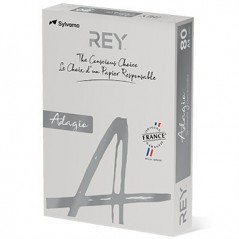 Papel Fotocopia Adagio(cd06) A4 80gr Cinza 1x500Fls / Papeis