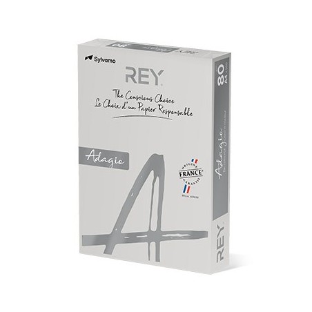 Papel Fotocopia Adagio(cd06) A4 80gr Cinza 1x500Fls / Papeis