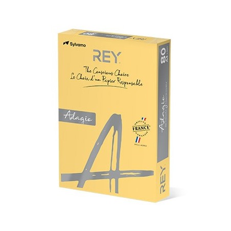 Papel Fotocopia Adagio(cd02) A4 80gr Manteiga 1x500Fls / Pap