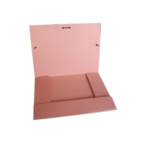 5un Pasta Cartolina 350gr 310x230 Abas/Elast Salmao / Arquiv