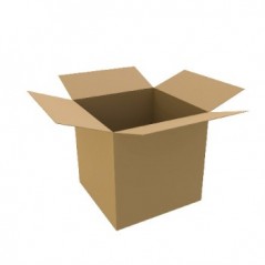 Caixa Cartao Duplo 350x250x200mm (0,017m3) Pack 10un / Manut