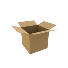 Caixa Cartao Duplo 450x350x300mm (0.047m3) Pack 10un / Manut