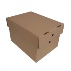 Caixa Cartao Simples 306x226x197mm (0,014m3) c/Tampa Pack25