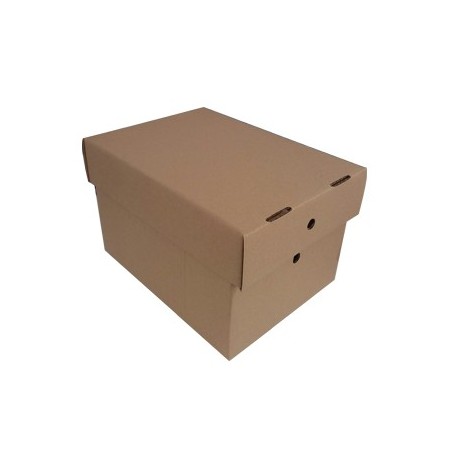 Caixa Cartao Simples 306x226x197mm (0,014m3) c/Tampa Pack25