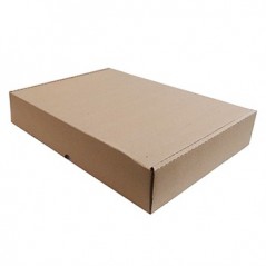 50un Caixa Cartao Simples P/Expedicao Auto-Montavel 455x330x