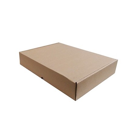 50un Caixa Cartao Simples P/Expedicao Auto-Montavel 455x330x