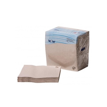 GC Guardanapos 40x40 2fls Nature P&P 100% Recycled 100un Pro