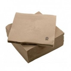 GC Guardanapos 33x33 2fls Nature P&P 100% Recycled 50un Prod