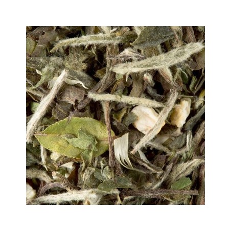 Cha a Granel Dammann Great Earl Grey 250g