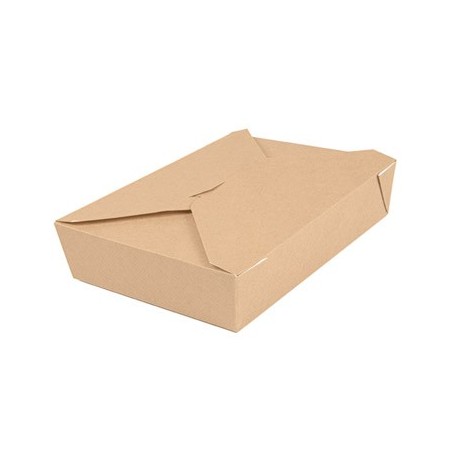 Caixa Cartolina Kraft THEPACK 19,6x14x4,5cm 1470ml 50un