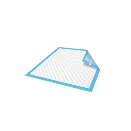 Resguardo Absorvente 60x90cm Azul 50un