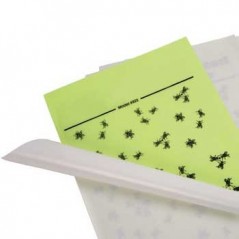 Recarga Adesiva em Lamina de Insectos 4x6un