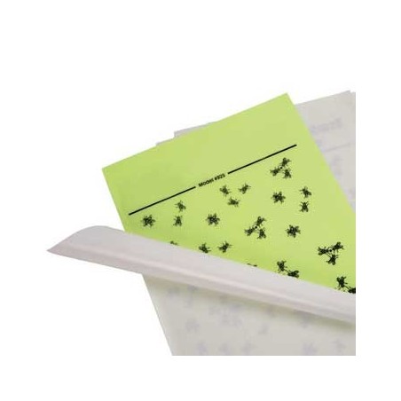 Recarga Adesiva em Lamina de Insectos 4x6un