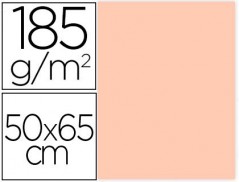 5un CARTOLINA GUARRO 50X65 CM 185 GR CARNE