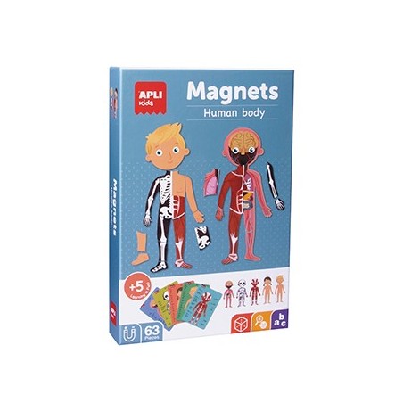Jogo Educativo Magnético Apli Corpo Humano 63 Peças