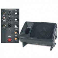 Coluna Profissional 2 vias 15pol c/amplificacao cx ABS / Luz