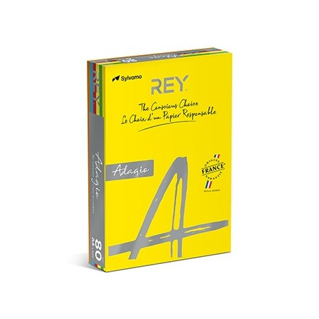 Papel Fotocopia 5 Cores Fortes A4 080gr 5x100500Fls