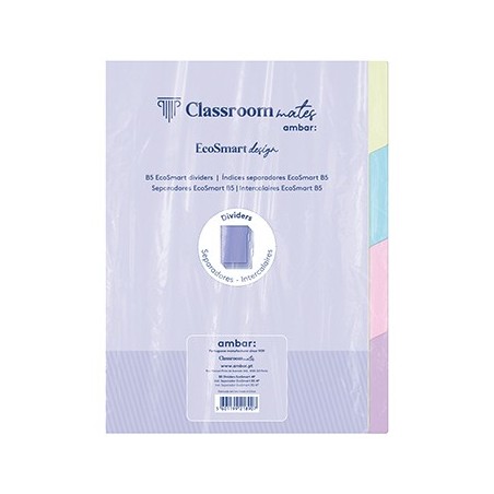 Separadores Caderno Inteligente Ambar EcoSmart B5 4un