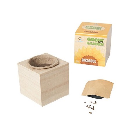 Grow your Garden Girassóis Ambarscience