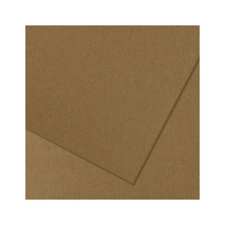 Cartolina A4 Castanho Terra 10T 180g 125 Folhas