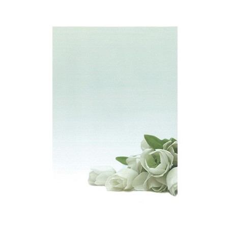 Papel Temático Flor Branca A4 90g 20 Folhas