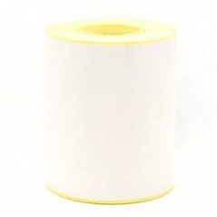 Papel Térmico Contínuo Branco 102mmx46m Rolo 8un