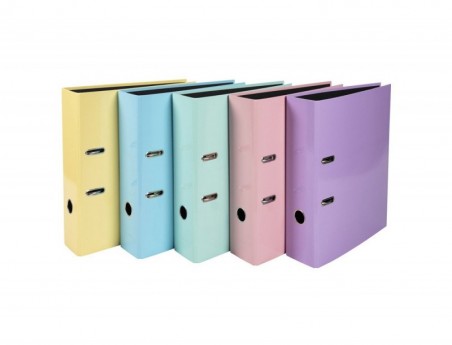 10un PASTA DE ARQUIVO DE ALAVANCA EXACOMPTA AQUAREL PREM'TOU