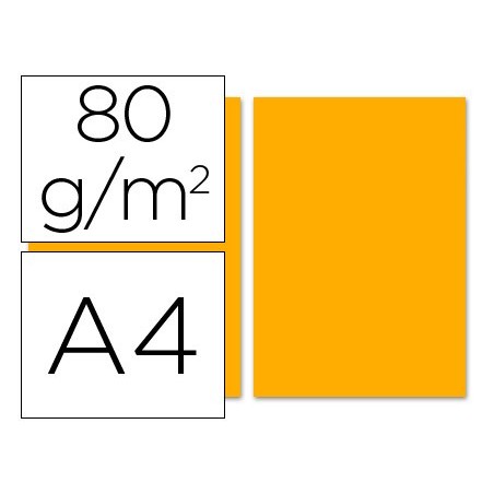 PAPEL DE COR LIDERPAPEL A4 80 GR LARANJA -RESMA DE 100 FOLHA