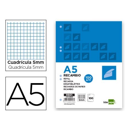 RECARGA LIDERPAPEL 100 FLS 100 GRS A5 QUADRICULADO