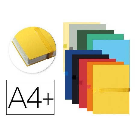 10un PASTA DE PROJETOS EXACOMPTA DIN A4 LOMBADA EXTENSIVEL A