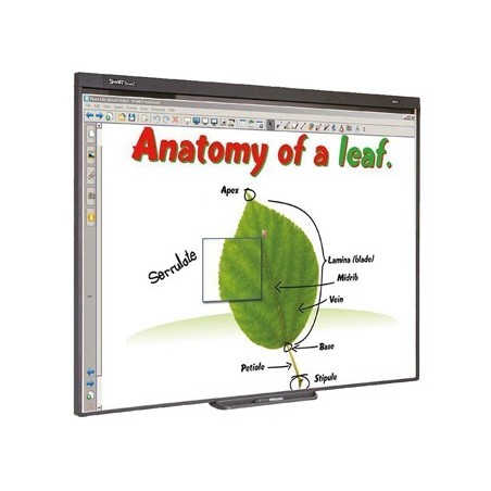 QUADRO INTERATIVA SB480 77" COM PROJETOR E SUPORTE