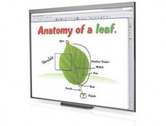 QUADRO INTERATIVA SB480 77" COM PROJETOR SUPORTE E COLUNAS