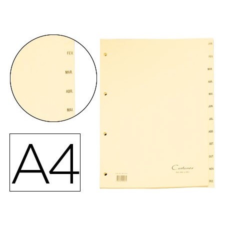 SEPARADORES DE CARTOLINA MES CARTONEX JAN-DEZ