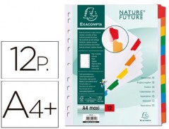 SEPARADOR EXACOMPTA CARTOLINA BRANCO CONJUNTO DE 12 SEPARADO