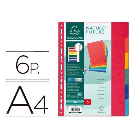 SEPARADOR EXACOMPTA CARTOLINA CONJUNTO DE 6 SEPARADORES DE C