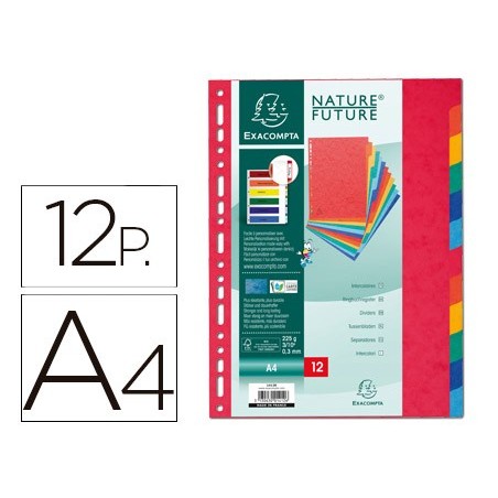 SEPARADOR EXACOMPTA CARTOLINA CONJUNTO DE 12 SEPARADORES DE