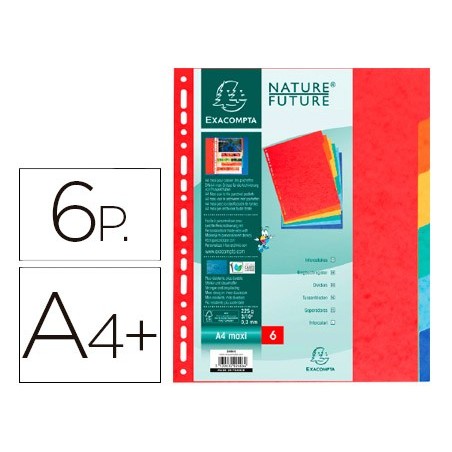 SEPARADOR EXACOMPTA CARTOLINA CONJUNTO DE 6 SEPARADORES DE C