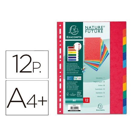 SEPARADOR EXACOMPTA CARTOLINA CONJUNTO DE 12 SEPARADORES DE