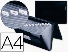 PASTA CLASSIFICADORA COM FOLE LIDERPAPEL A4, OPACAS, 13 DEPA