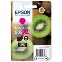 Tinteiro Expression Premium XP6000 Nº202XL Magenta
